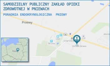 PORADNIA ENDOKRYNOLOGICZNA - SAMODZIELNY PUBLICZNY ZAKŁAD OPIEKI ZDROWOTNEJ W PNIEWACH - 2A,  PNIEWY