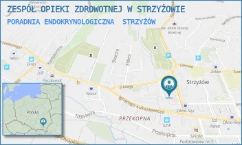 PORADNIA ENDOKRYNOLOGICZNA - ZESPÓŁ OPIEKI ZDROWOTNEJ W STRZYŻOWIE - UL. 700-LECIA 1,  STRZYŻÓW