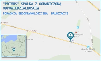 PORADNIA ENDOKRYNOLOGICZNA - "PRIMUS" SPÓŁKA Z OGRANICZONĄ ODPOWIEDZIALNOŚCIĄ - UL. SZKOLNA 12,  BRUDZOWICE