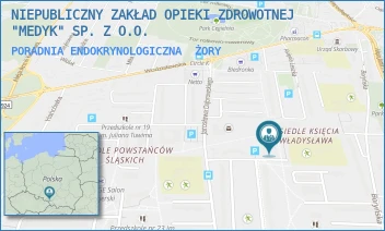 PORADNIA ENDOKRYNOLOGICZNA - NIEPUBLICZNY ZAKŁAD OPIEKI ZDROWOTNEJ "MEDYK" SP. Z O.O. - UL. KS.WŁADYSŁAWA 27,  ŻORY